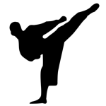 karate_fav_icon